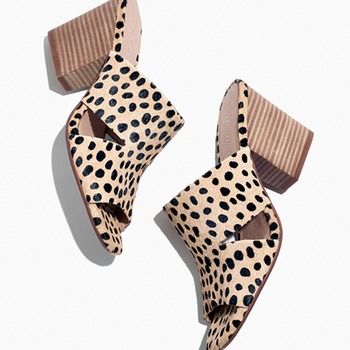 E-Comm: Boss Looks for the Office